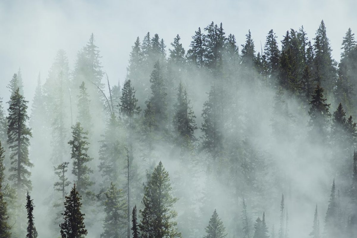 Google – Young Love ( Directors Cut )