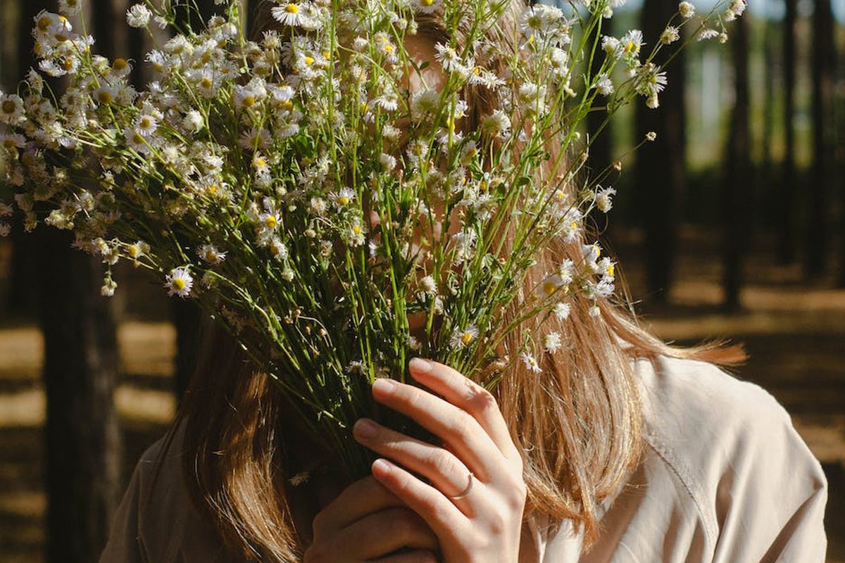 Animation Short Film 2018